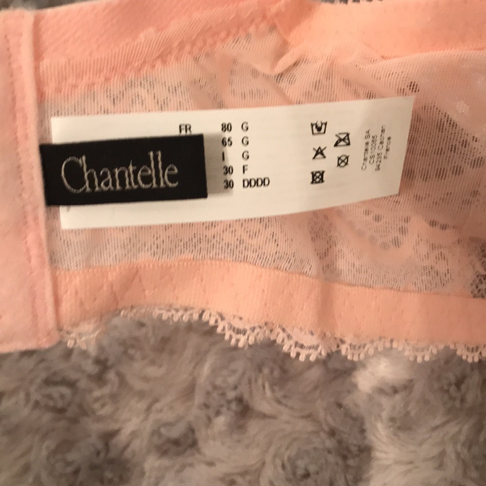 Chantelle Light Pink Merci Demi Underwire T-Shirt Bra 30DDDD NWT - Picture 7 of 14